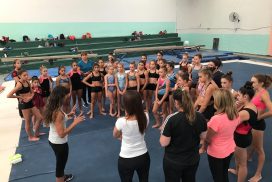 Imagen. Concentración de gimnastas