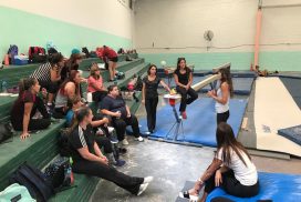 Imagen. Concentración de gimnastas