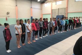 Imagen. Concentración de gimnastas