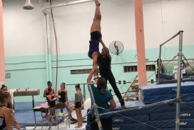 Imagen. Concentración de gimnastas